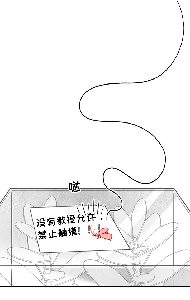 身体哪个部位发痒会有肝病漫画,第59章：教授2图