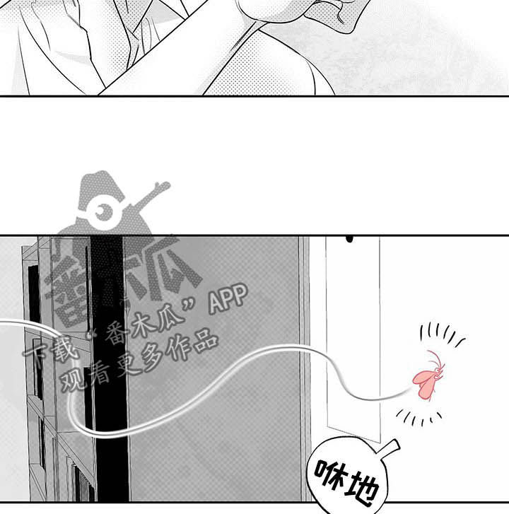 身体效应漫画小说漫画,第37章：抓虫1图