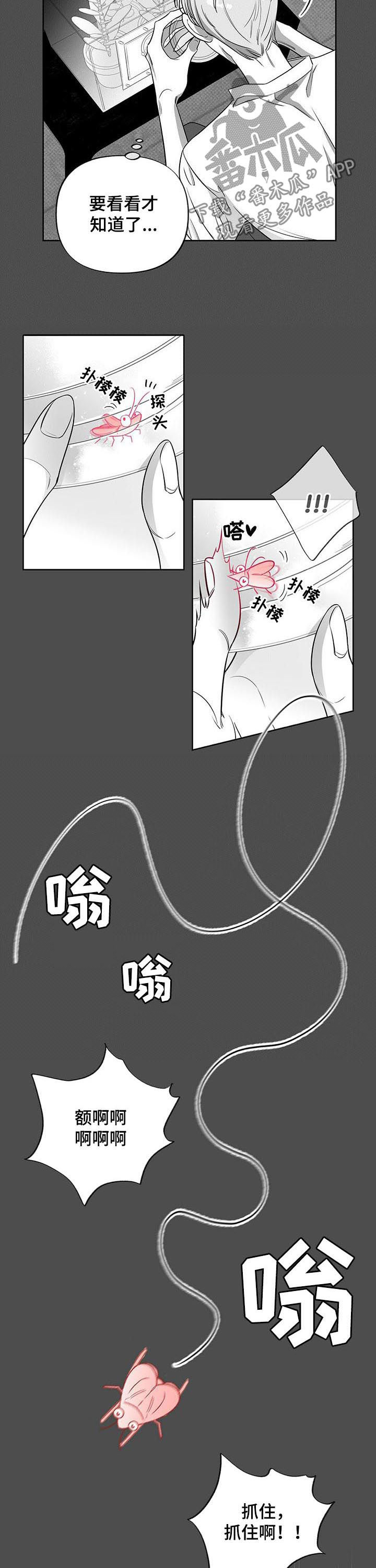 身体小卫士教案漫画,第45章：试验2图