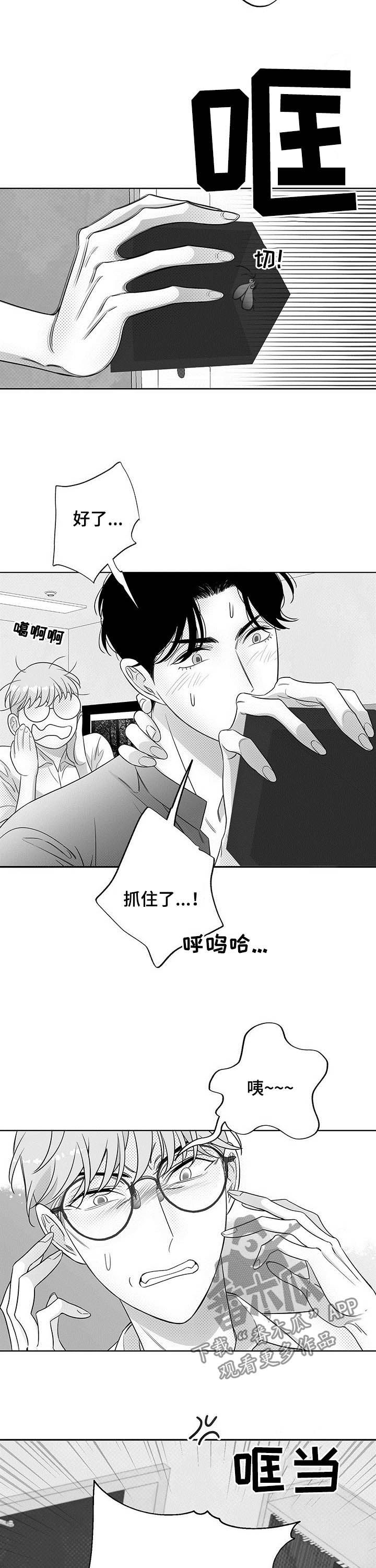 身体效应漫画小说漫画,第37章：抓虫2图