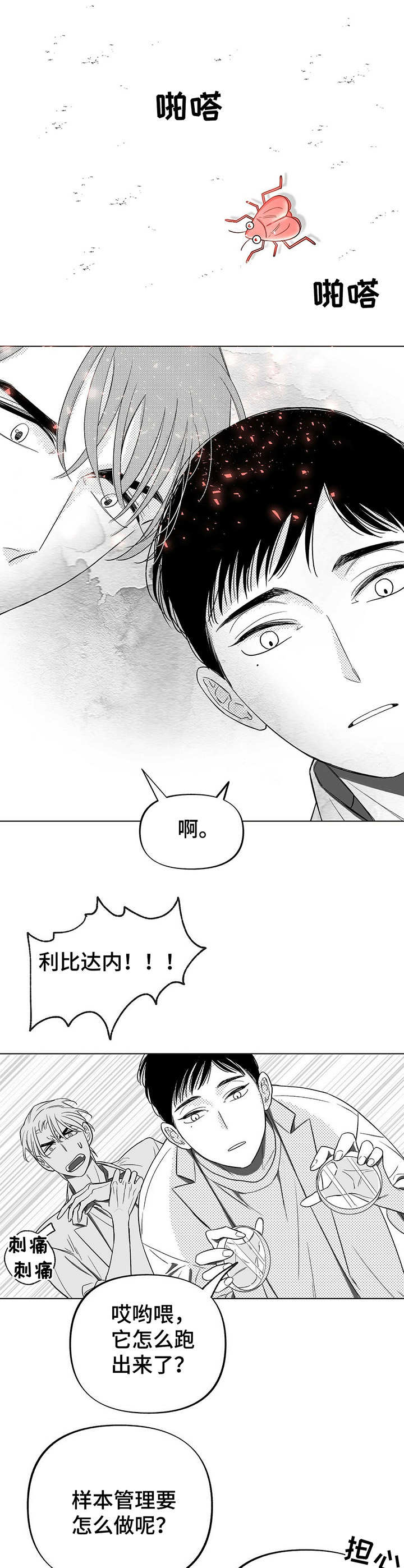 睡觉身体突然抖一下子是什么效应漫画,第4章：昆虫2图