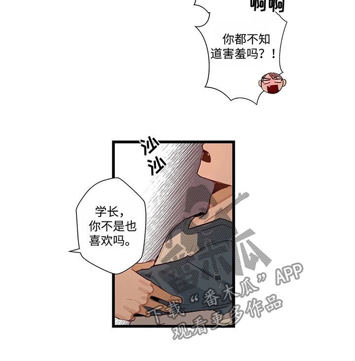 不专业用什么词形容漫画,第47章：再下一步2图