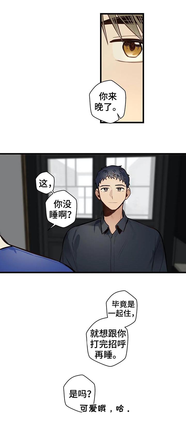 不专门面向中小企业采购的原因及适用条款漫画,第61章：隐瞒什么2图