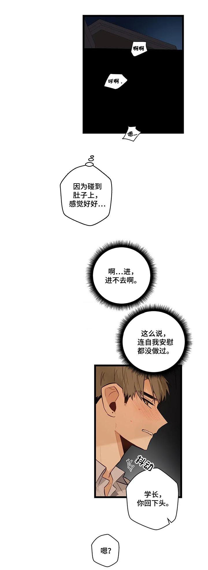 不专属于国家所有的财产漫画,第75章：怕你痛2图