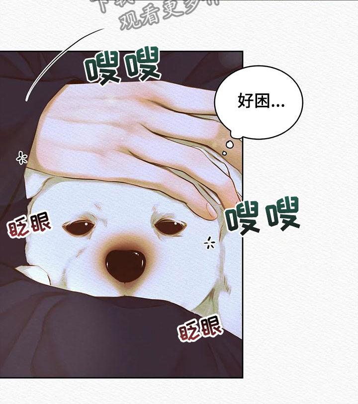 阴语默录漫画,第42章：取名1图