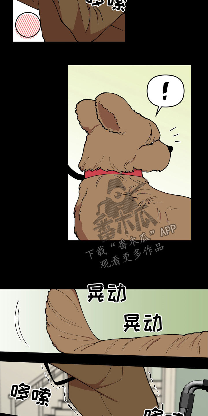 仙女请听我解释漫画,第42章：狗主人1图