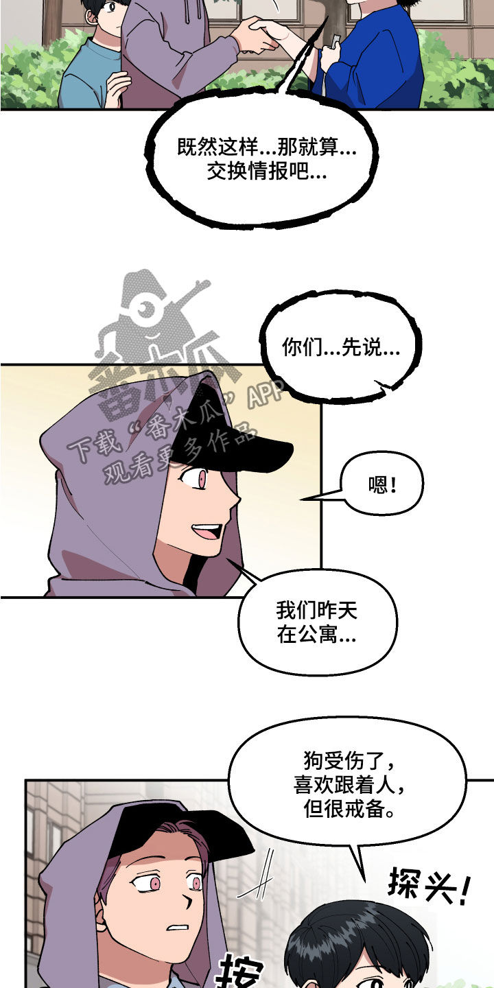 请听我说谢谢你手语漫画,第37章：交换情报2图