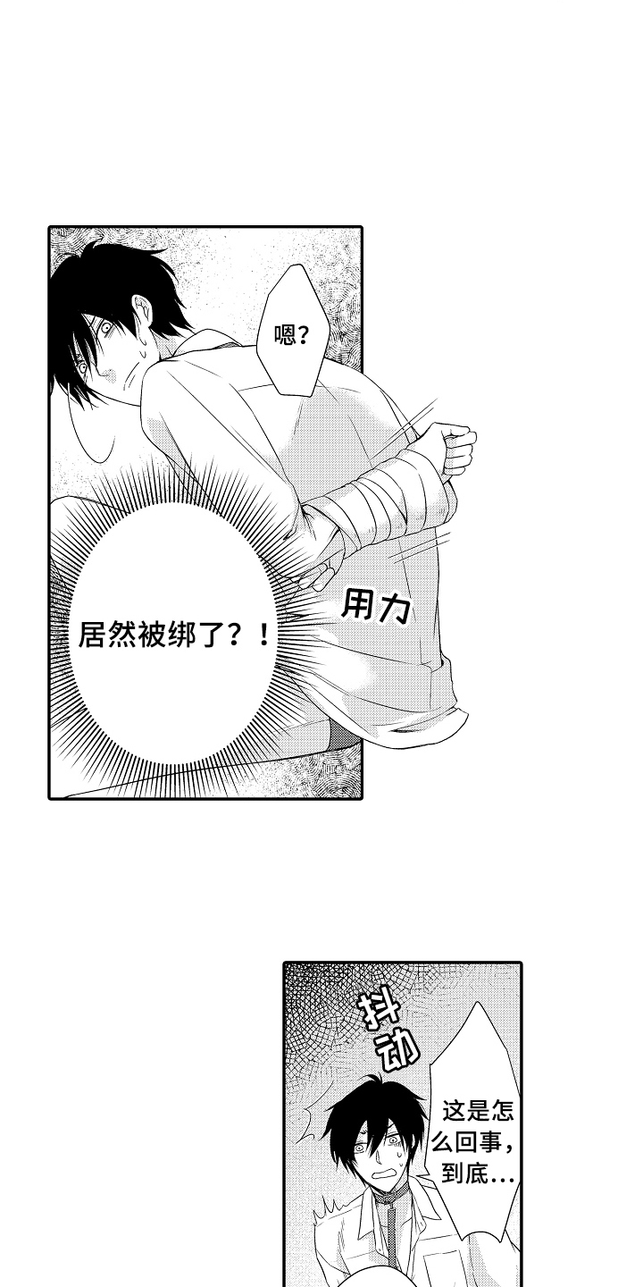 专属拍品漫漫画,第1章：拍卖1图