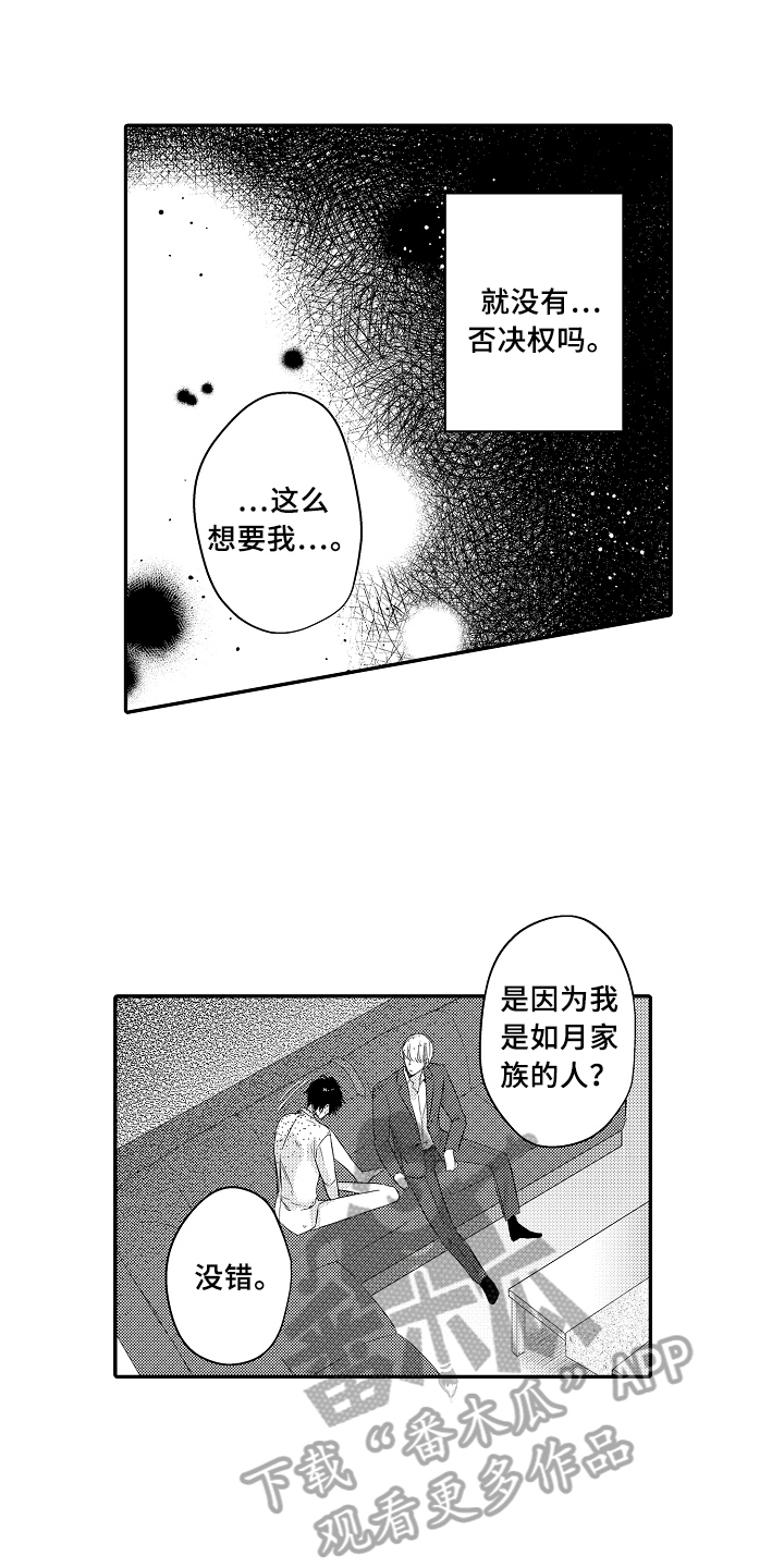 私人订制拍品漫画,第4章：猜测1图