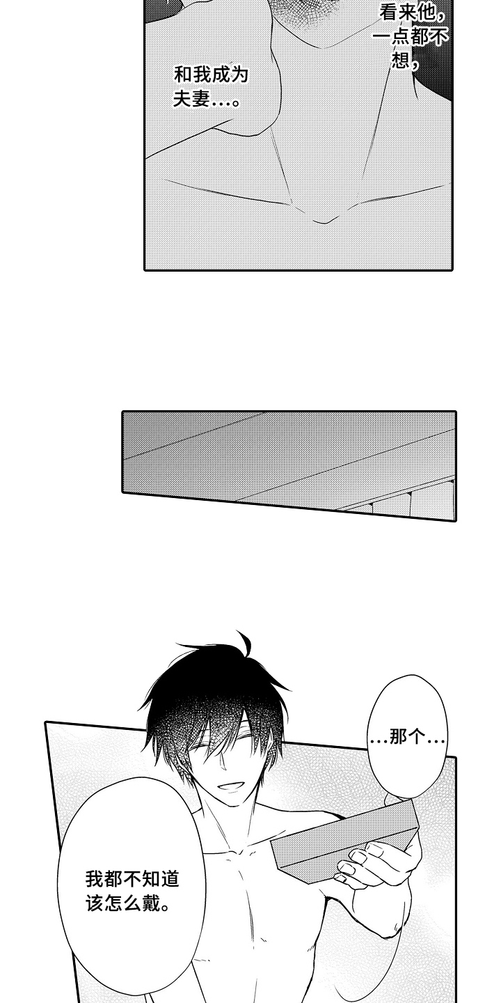 专属拍品漫画,第20章：项链2图