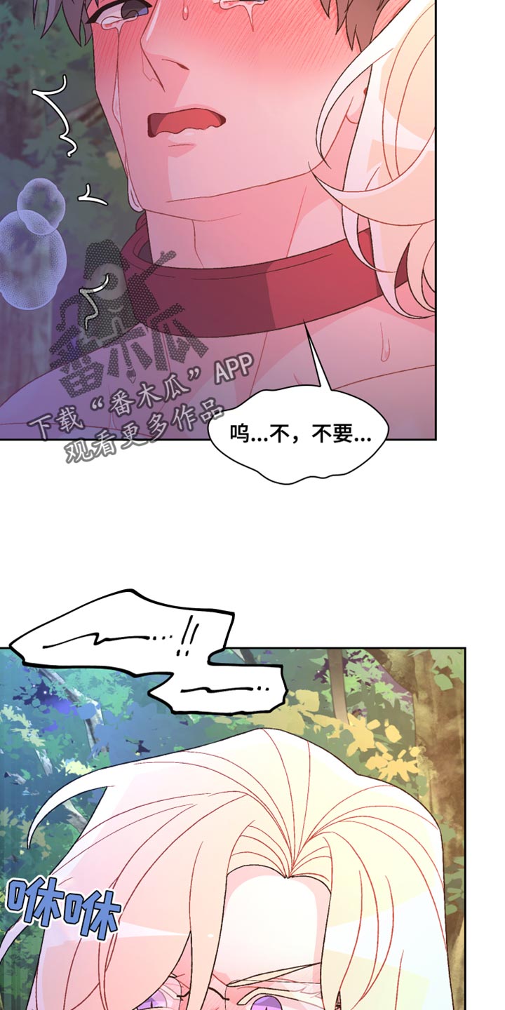 亚瑟的爱好漫画,第192章：【第三季】训练2图