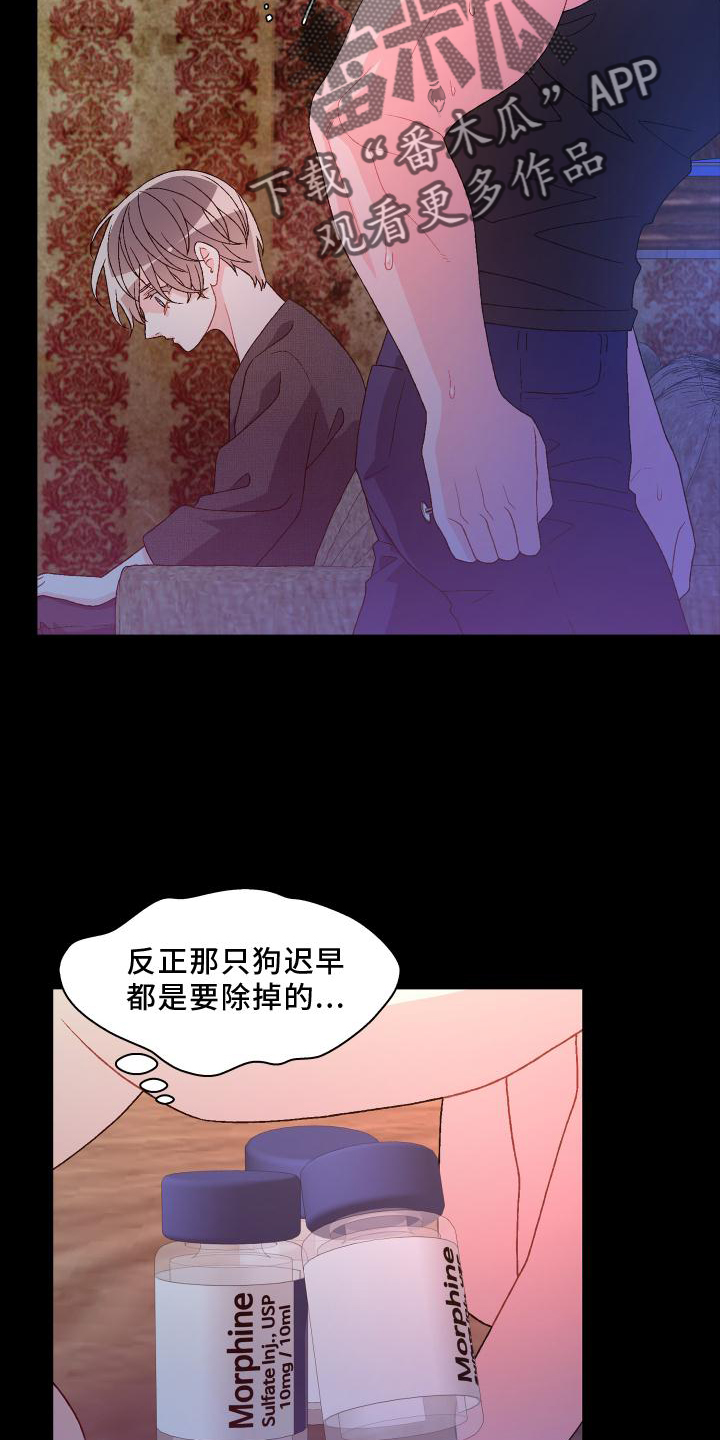 亚瑟的爱好漫画,第184章：【第三季】决心1图