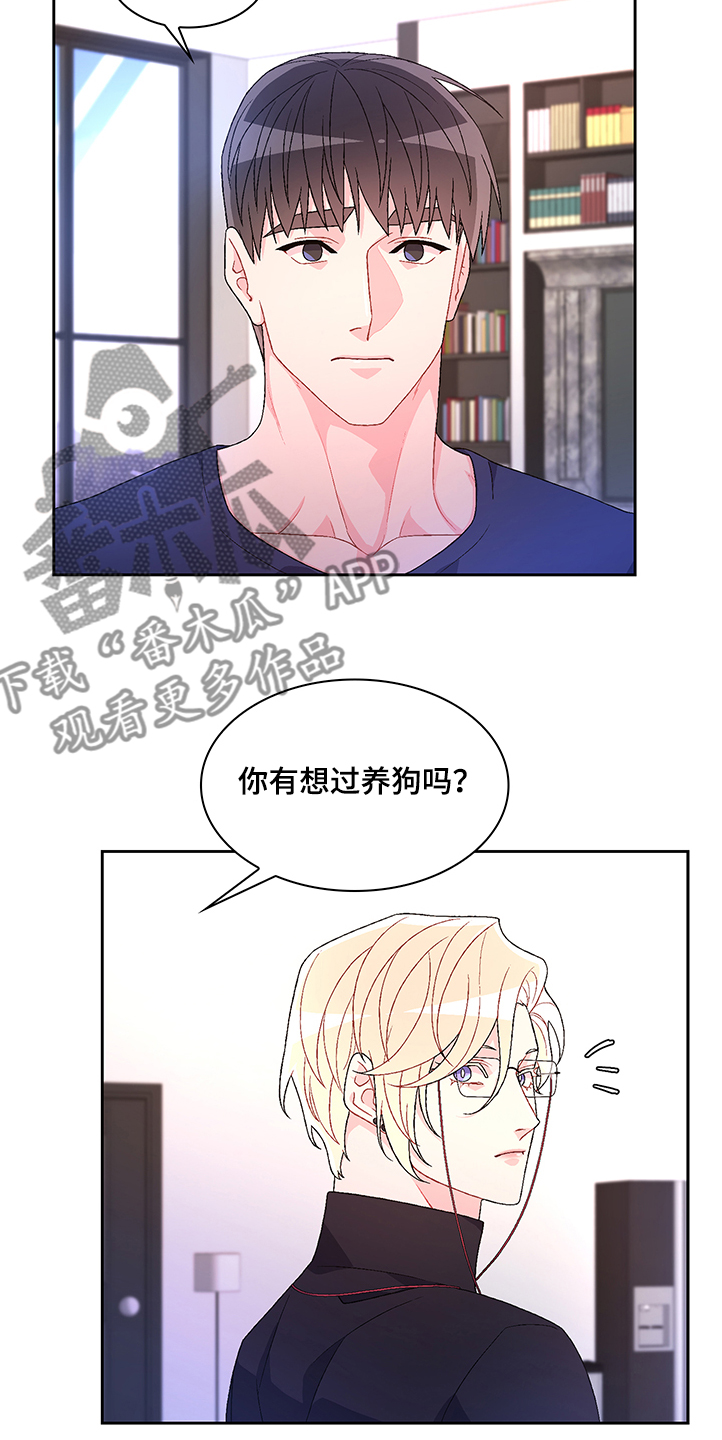 亚瑟的爱好漫画,第106章：【第二季】我不养狗1图