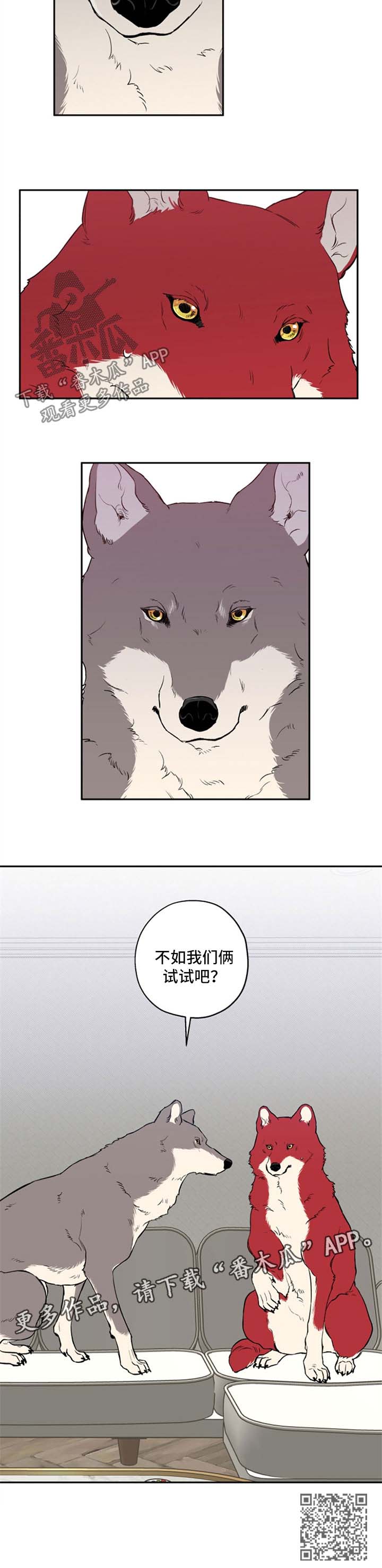 赤狼漫画,第34章：不如我们俩试试1图