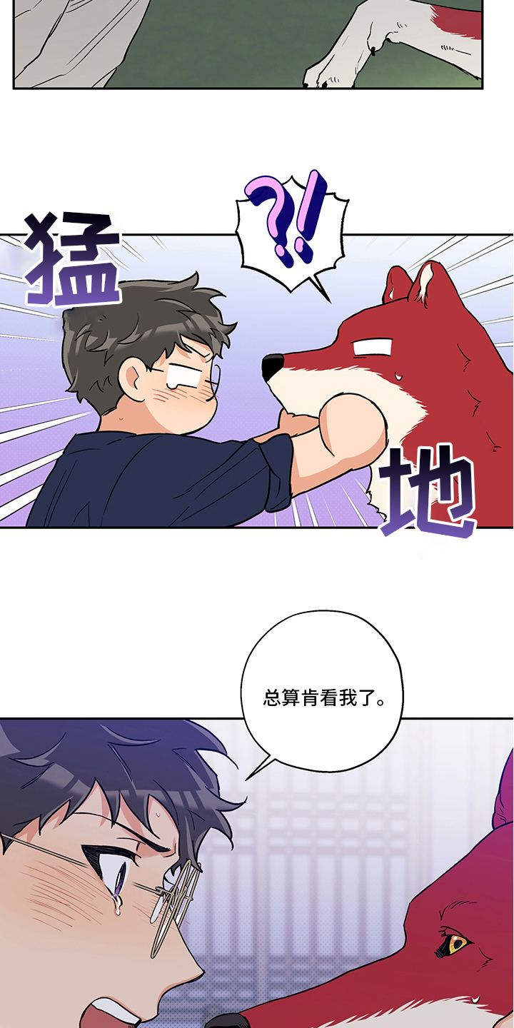 赤狼漫画,第94章：不要抛弃我2图