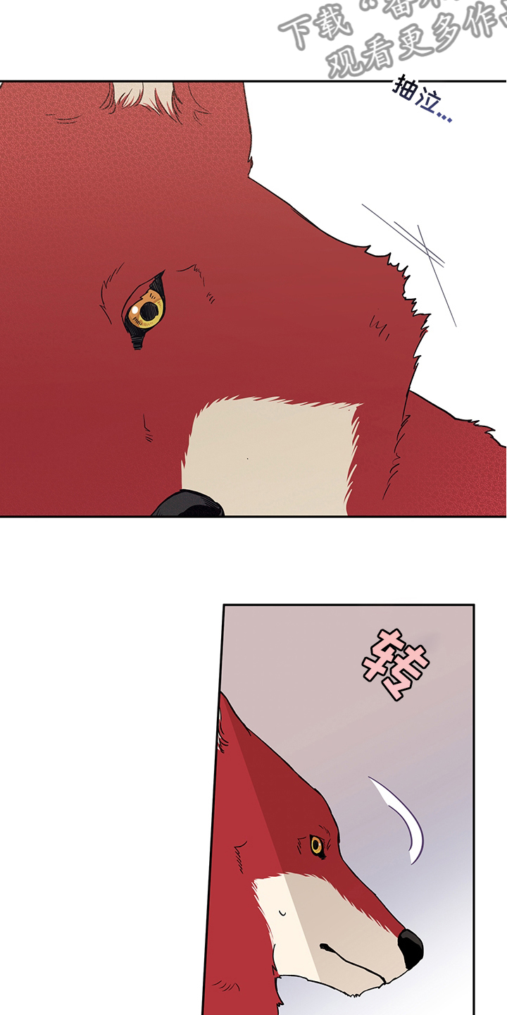赤狼漫画,第94章：不要抛弃我1图