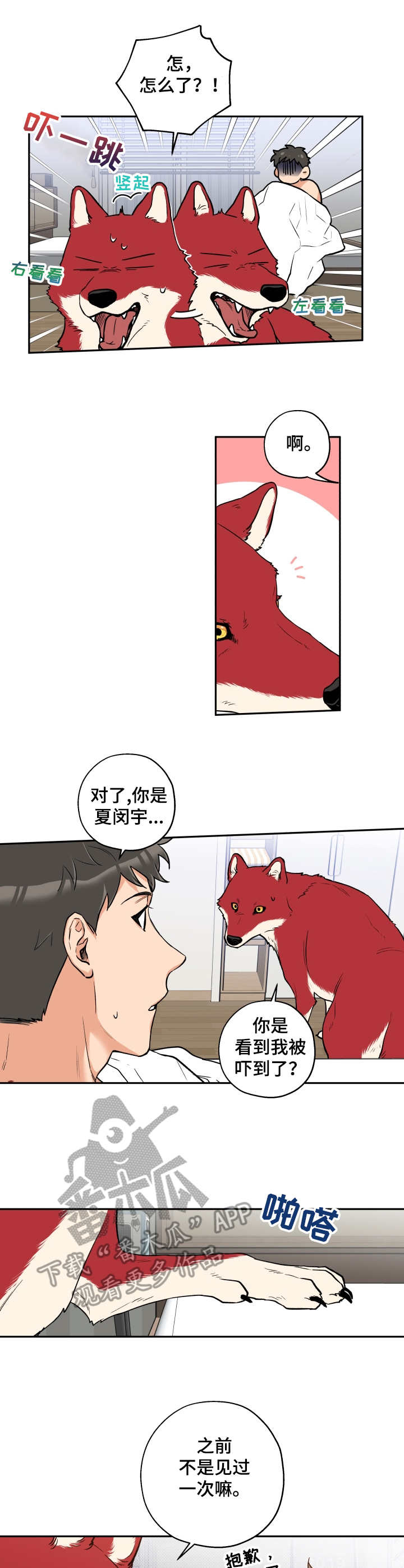 赤狼漫画,第19章：换眼镜1图