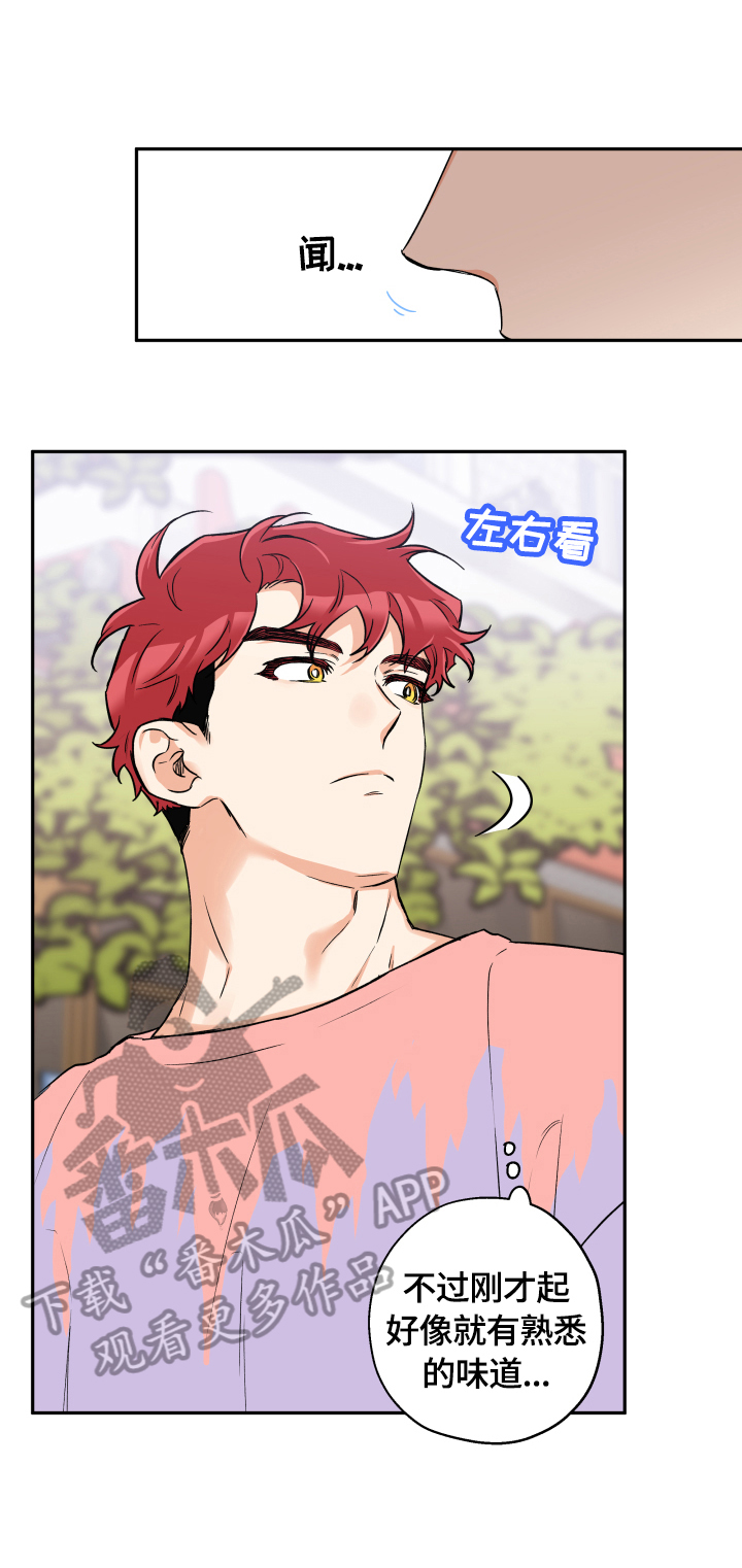 赤狼漫画,第46章：一直很漂亮2图