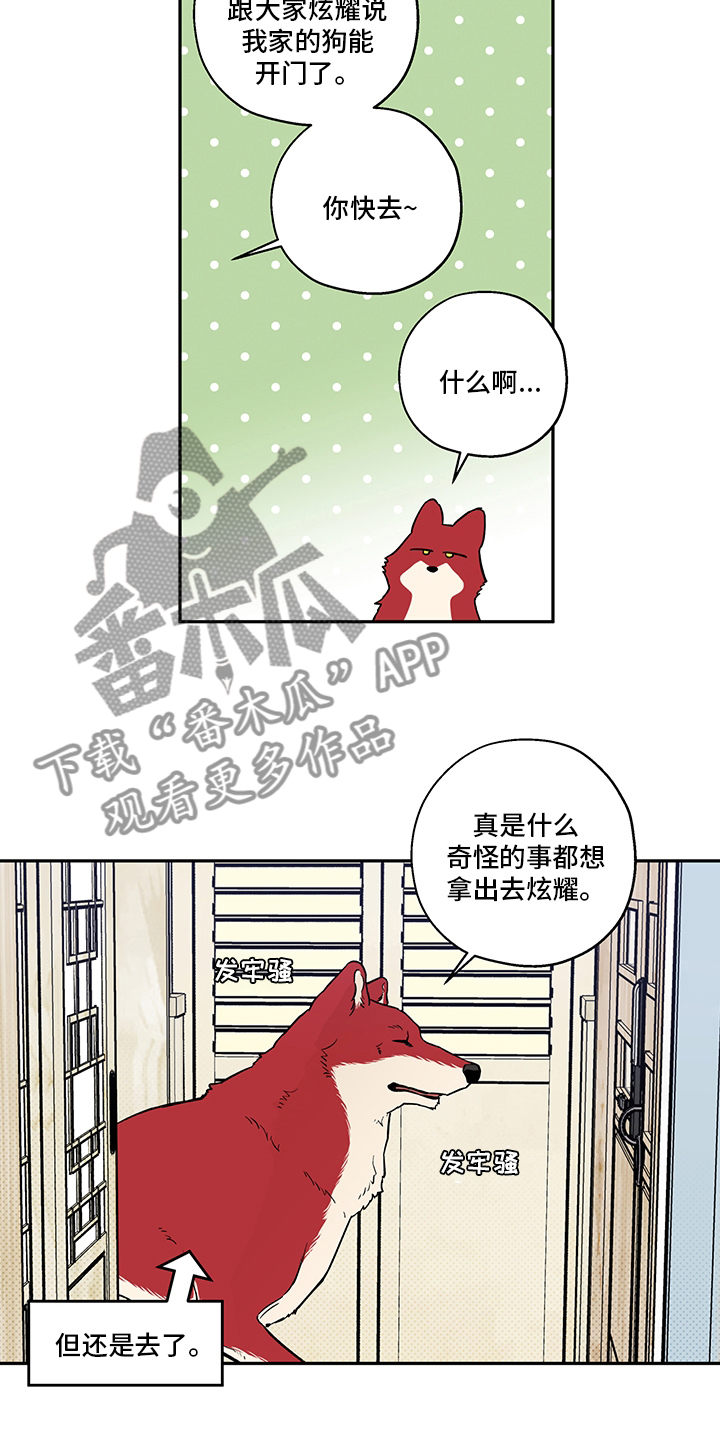 赤狼漫画,第93章：出去走走吧2图
