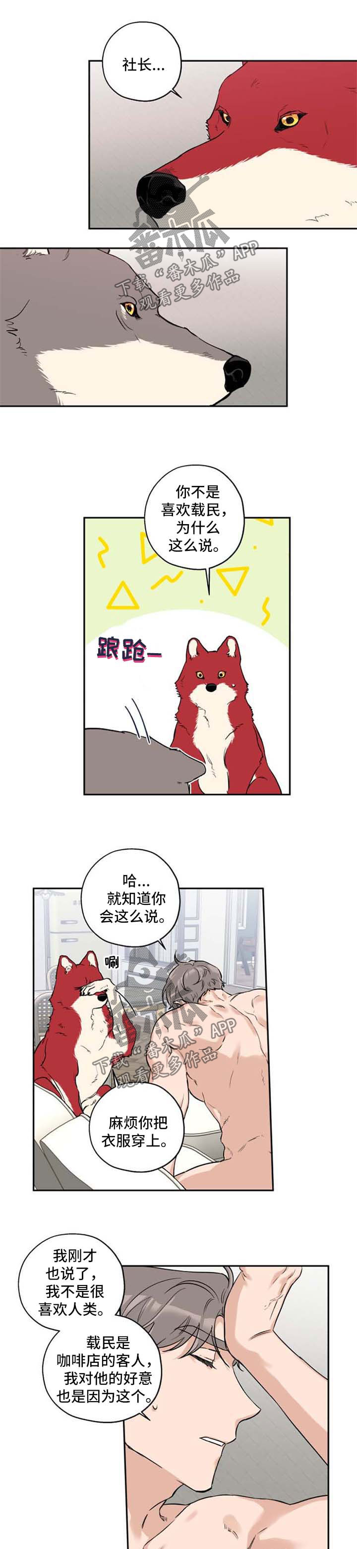 赤狼漫画,第35章：不想分开1图