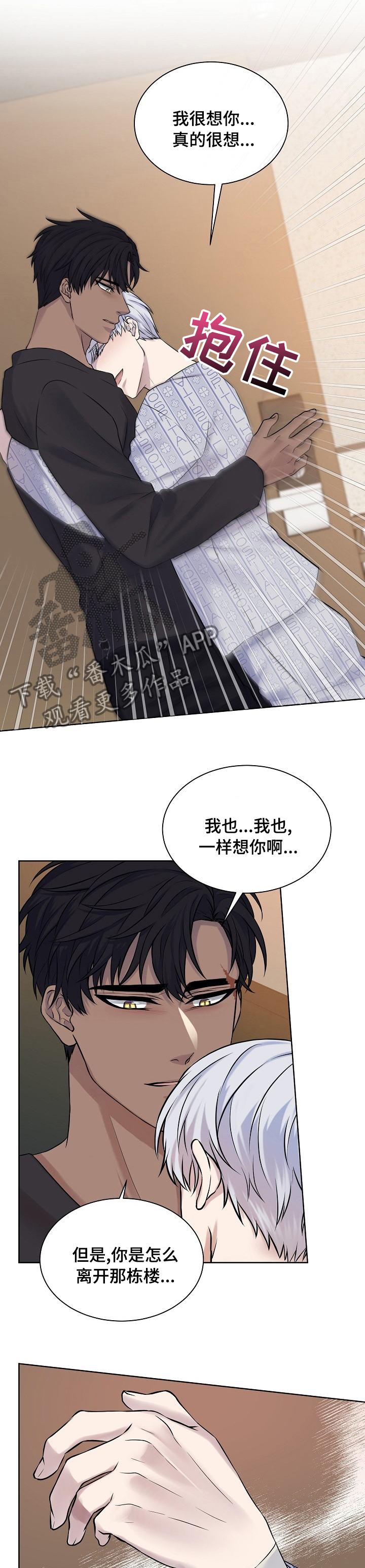 笼子里的金丝雀有小说吗漫画,第40章：运气1图