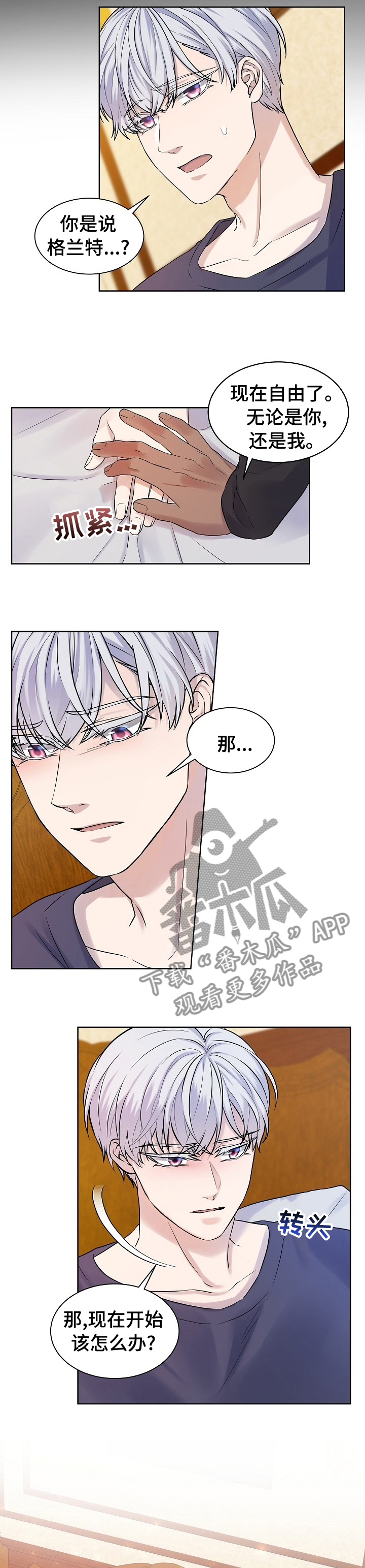 笼子里的金丝雀漫画,第45章：【完结】一起幸福下去吧2图