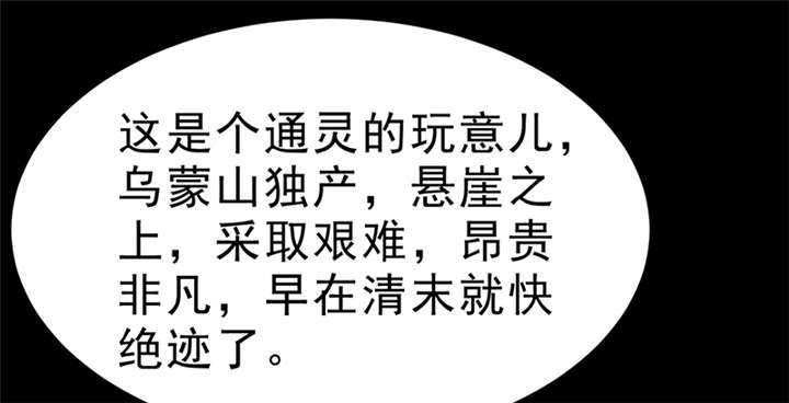 苍山脚下的回族村落漫画,第4章：赤珠（下）2图