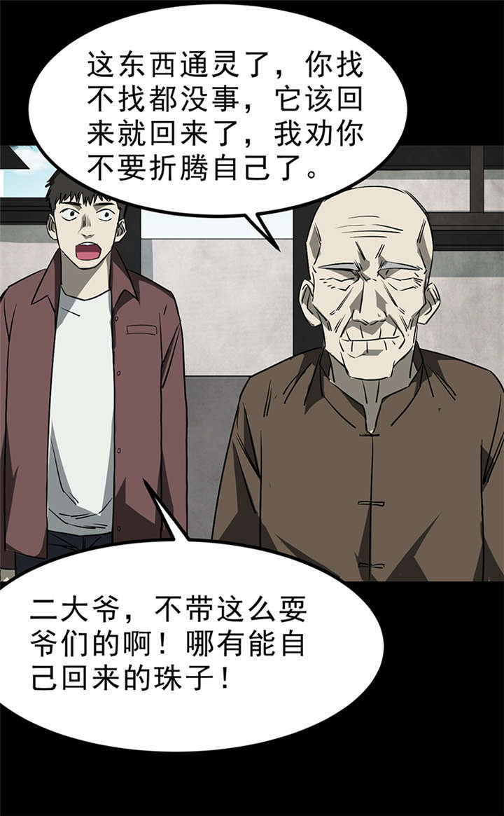 苍山脚下的回族村落漫画,第4章：赤珠（下）2图