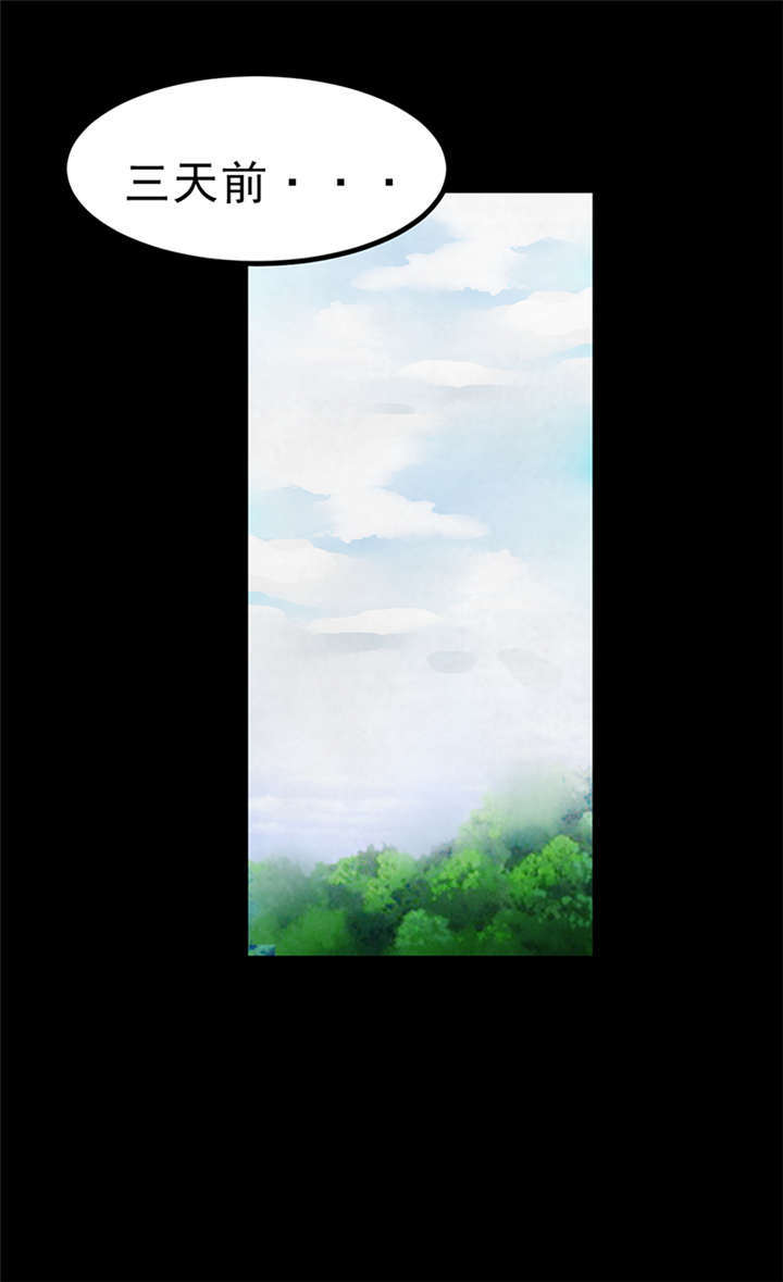 苍山脚下的回族村落漫画,第4章：赤珠（下）2图