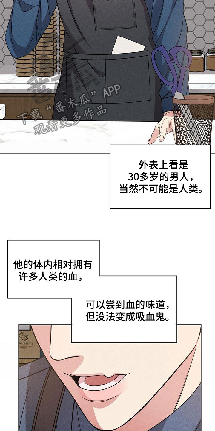 渴血纠缠漫画,第37章：幻影族2图