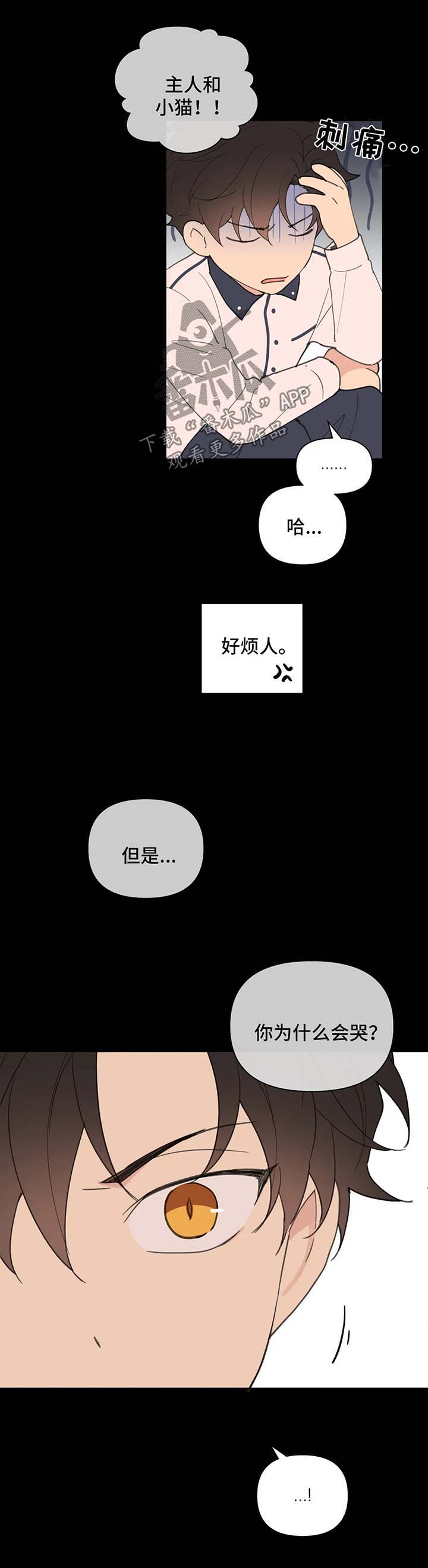 学院代表漫画,第78章：喜欢漂亮的1图