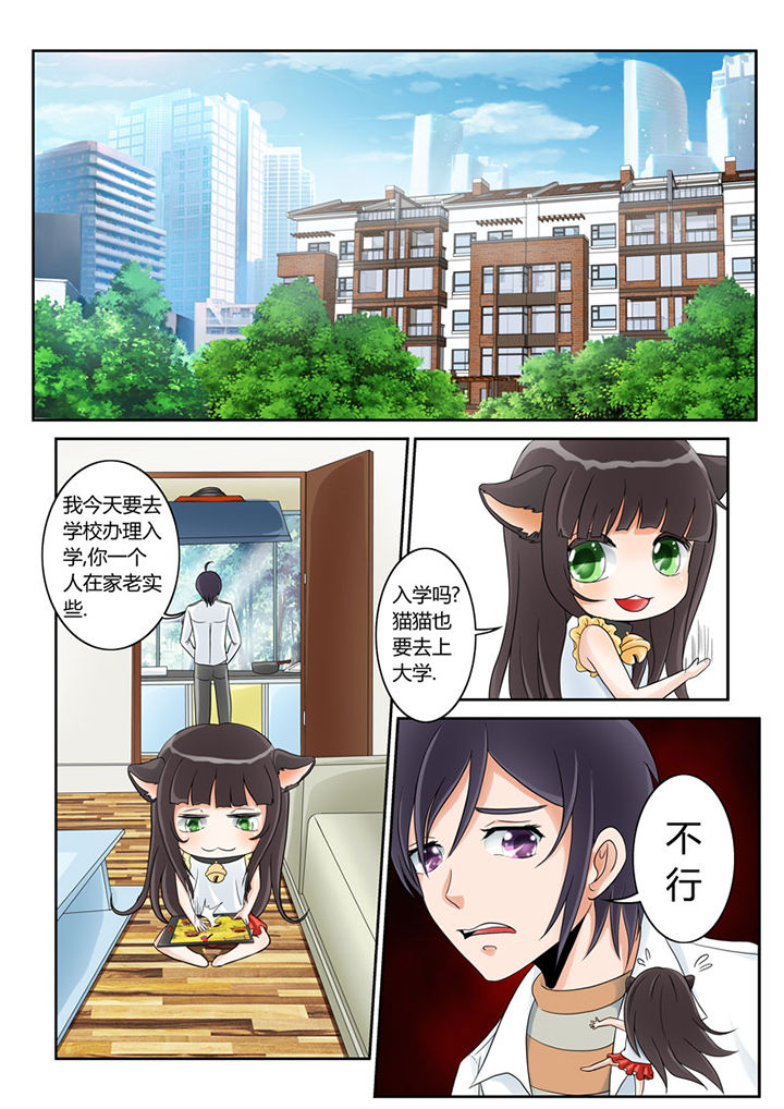 吾家猫猫大人漫画,第2章：猫猫去学校1图