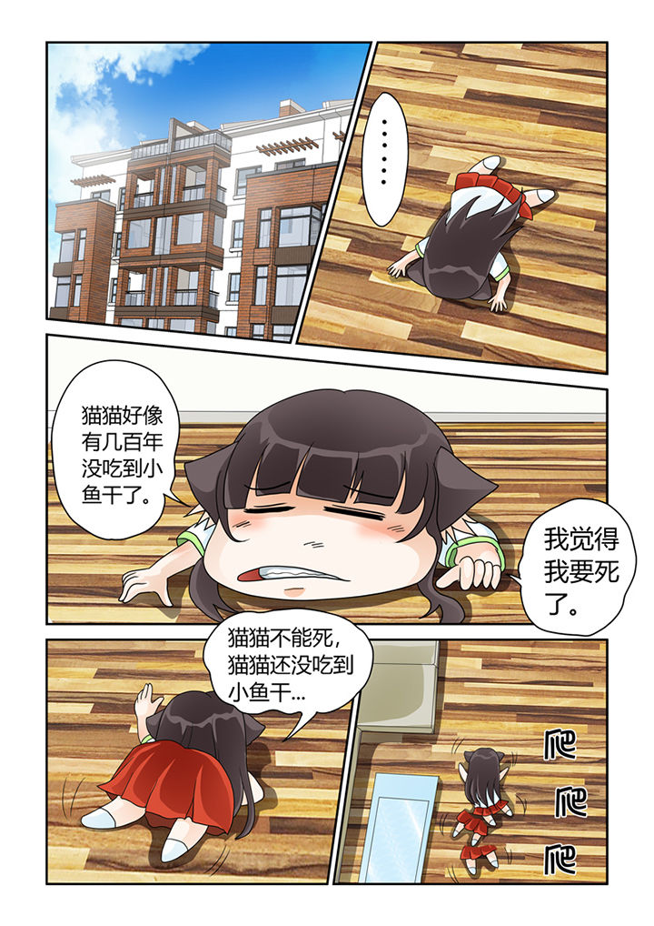 吾家猫猫大人漫画,第22章：魔现1图