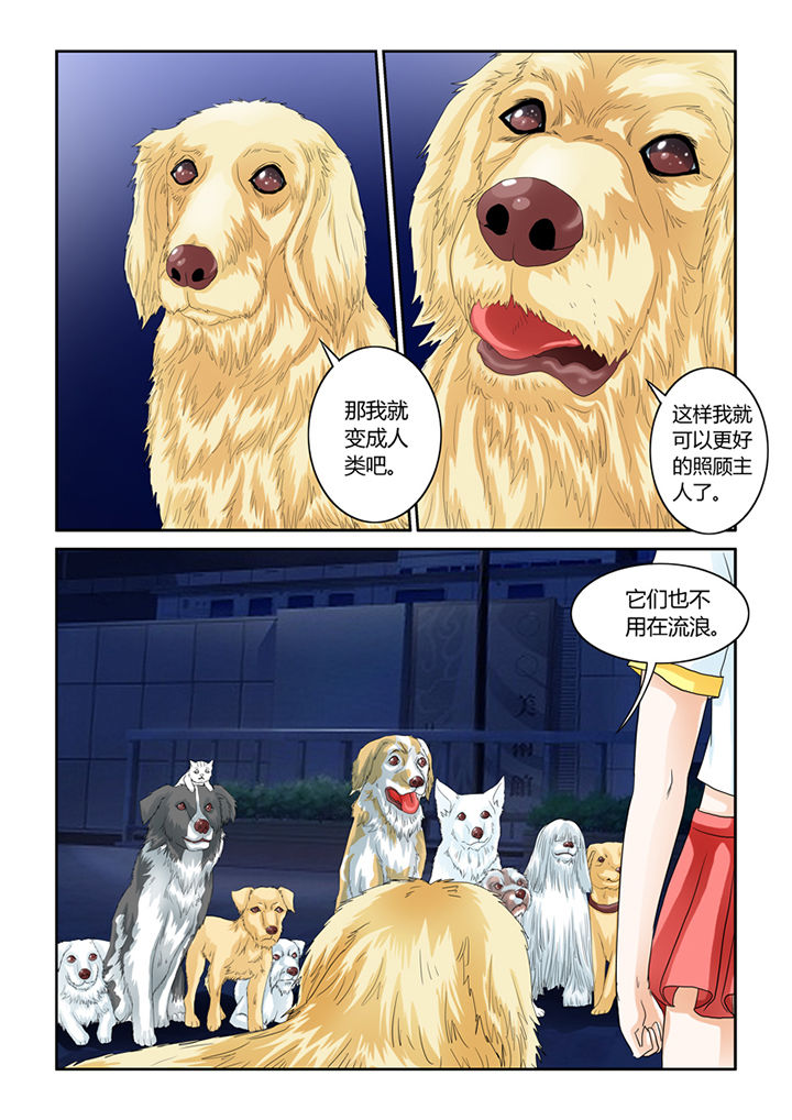 猫猫大人安徽漫画,第51章：大黄夺舍1图