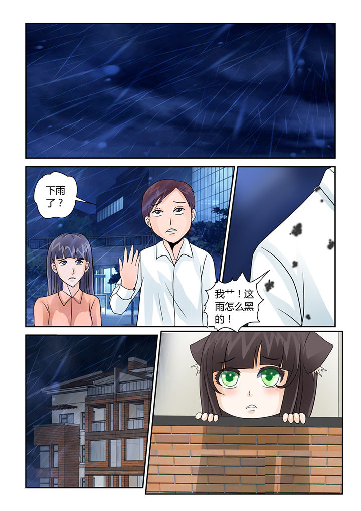 吾家之猫是什么意思漫画,第35章：血雨2图