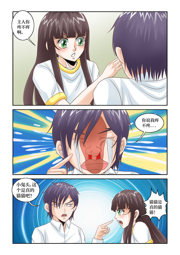 吾家猫猫大人漫画,第67章：猫猫回家了（2）1图
