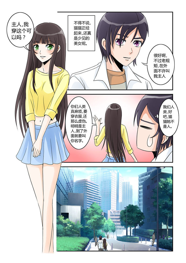 吾家之猫是什么意思漫画,第2章：猫猫去学校2图