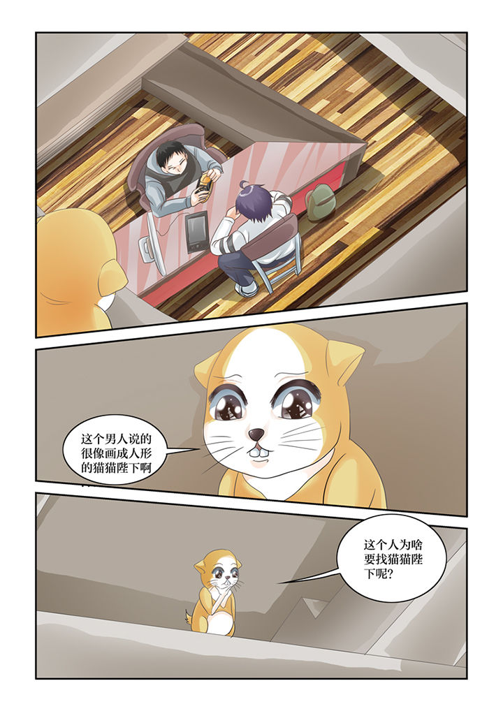 吾家猫猫大人在线阅读漫画,第62章：误会1图