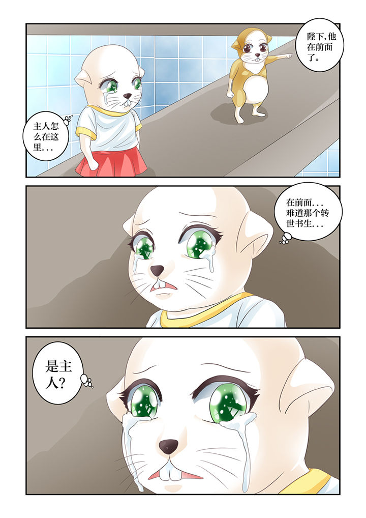 吾家猫猫大人在线阅读漫画,第62章：误会1图