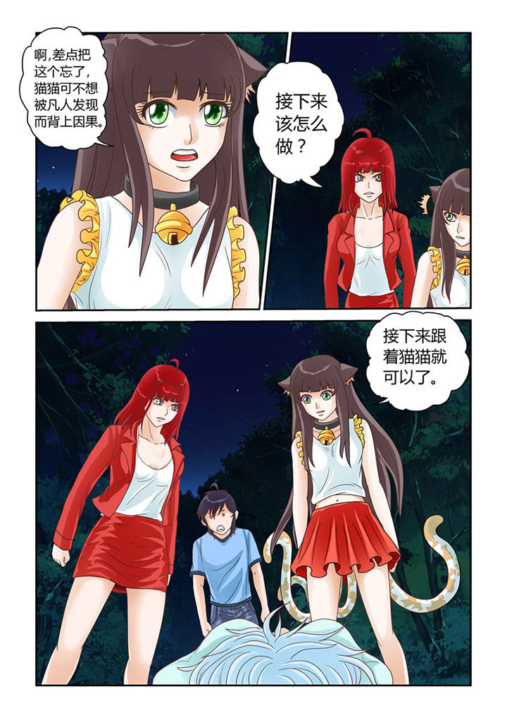 吾家猫猫大人在线阅读漫画,第12章：天地玄门开1图