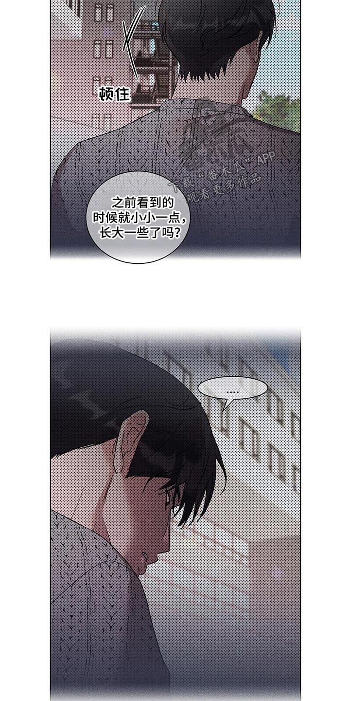 遗留问题最新解决方法漫画,第49章：联系1图