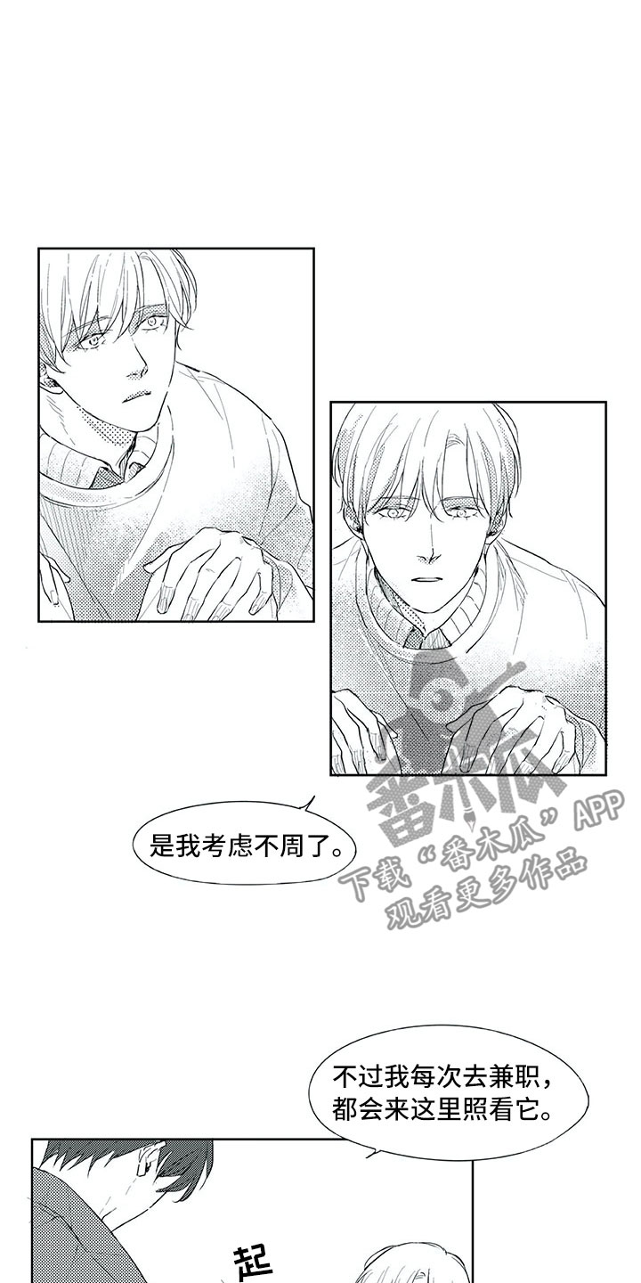 相恋49日漫画,第19章：心乱1图