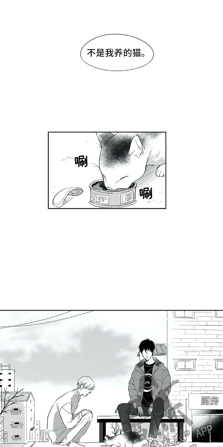 相恋49日漫画,第19章：心乱2图