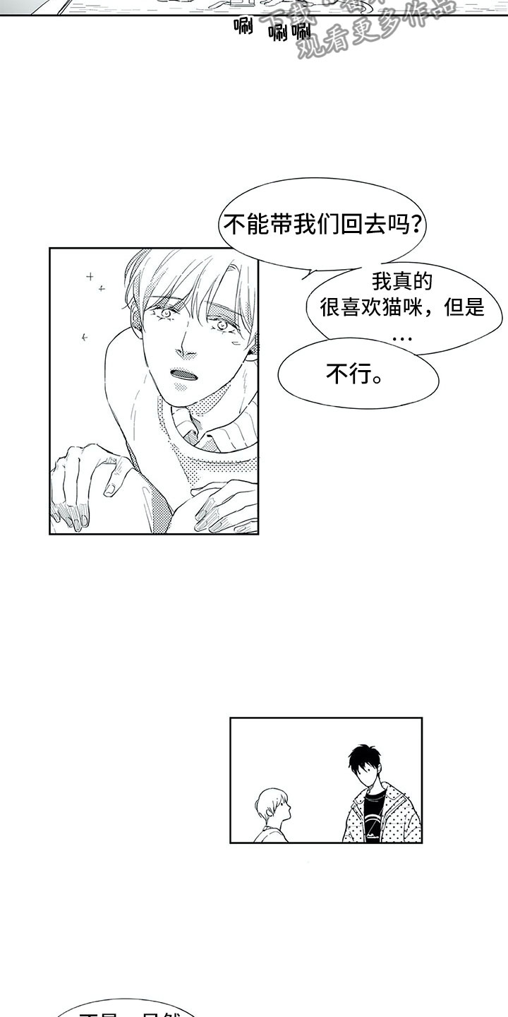 相恋49日漫画,第19章：心乱1图
