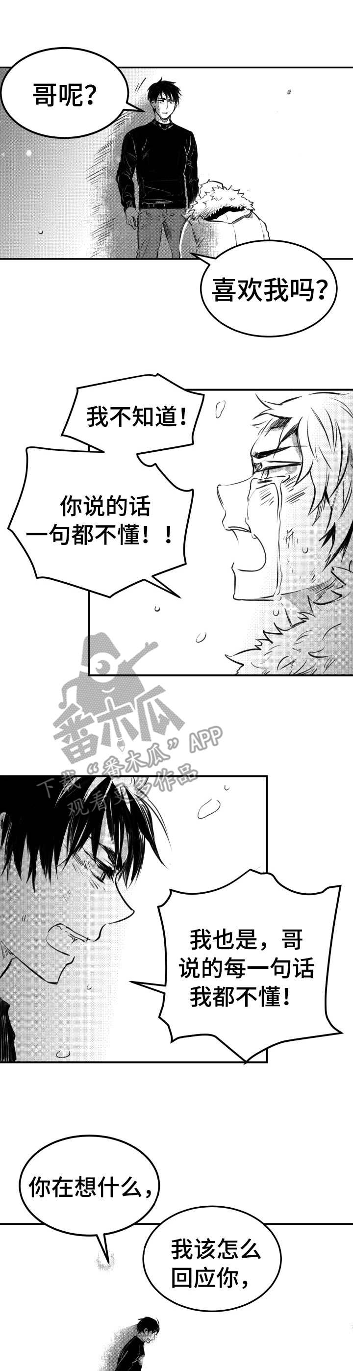 冬季往事漫画,第56章：回应（完结）1图