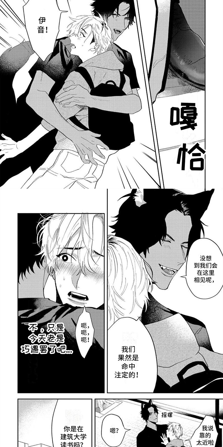 狼的英语怎么读漫画,第2章：强势2图