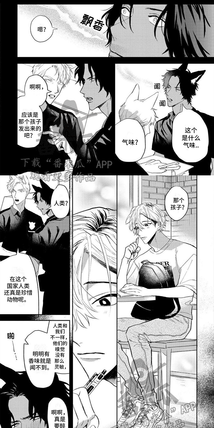 狼的照片漫画,第7章：焦急1图