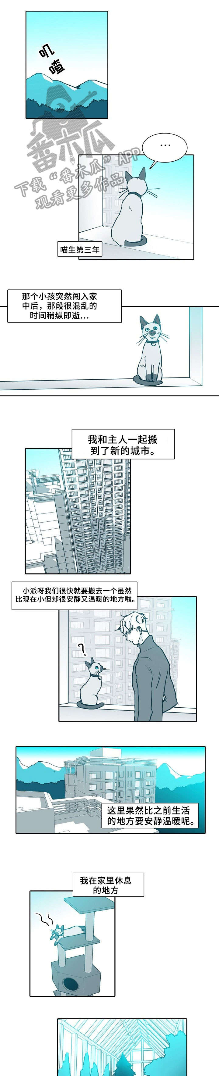 期限扣除信息是什么意思漫画,第63章：做饭1图