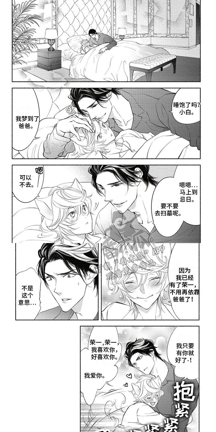 猫猫小宝漫画,第14章：介绍1图