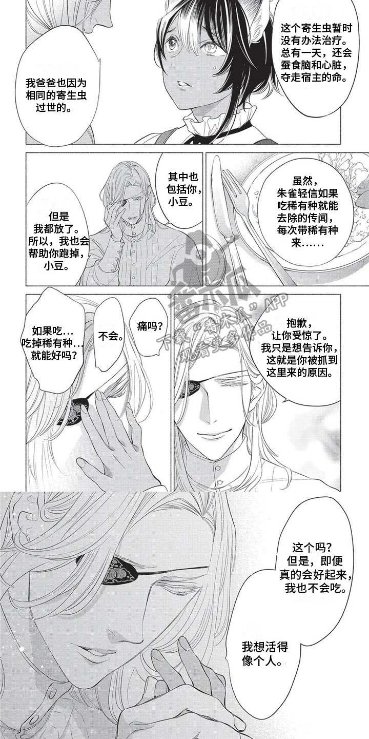 猫猫小白漫画,第20章：原因1图